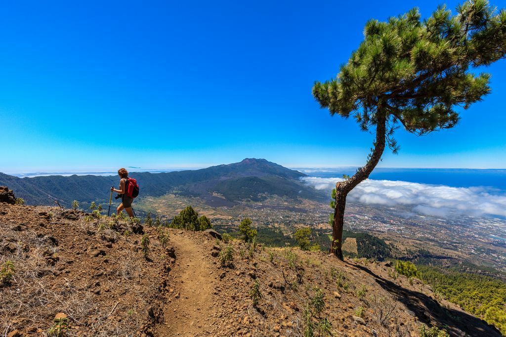La Palma Header