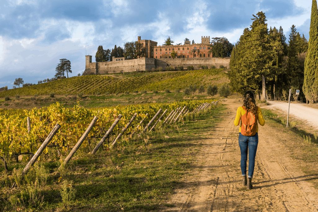 Vinyard france tiny